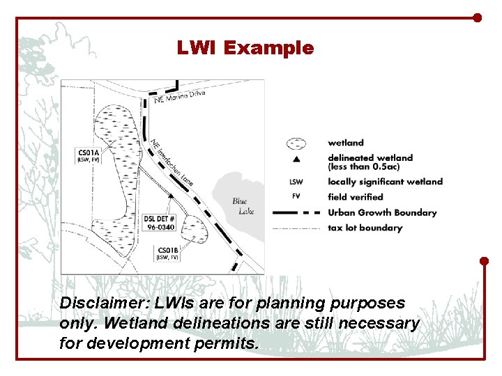 LWI Example Disclaimer: LWIs are for planning purposes only. Wetland delineations are still necessary