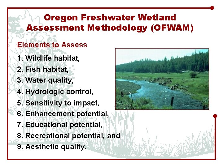 Oregon Freshwater Wetland Assessment Methodology (OFWAM) Elements to Assess 1. Wildlife habitat, 2. Fish