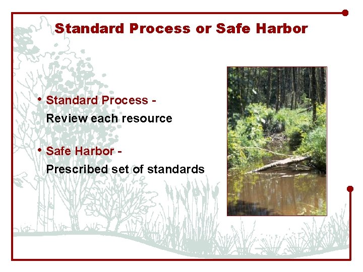 Standard Process or Safe Harbor • Standard Process Review each resource • Safe Harbor