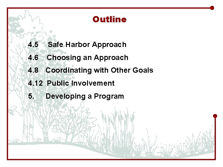 Outline 4. 5 Safe Harbor Approach 4. 6 Choosing an Approach 4. 8 Coordinating