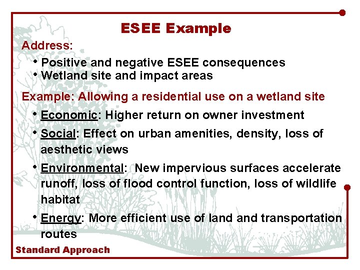 ESEE Example Address: • Positive and negative ESEE consequences • Wetland site and impact