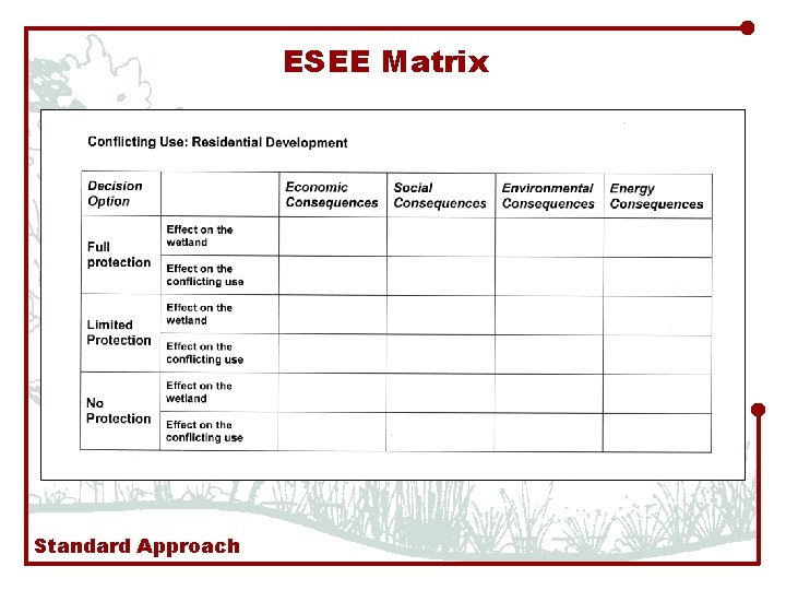 ESEE Matrix Standard Approach 