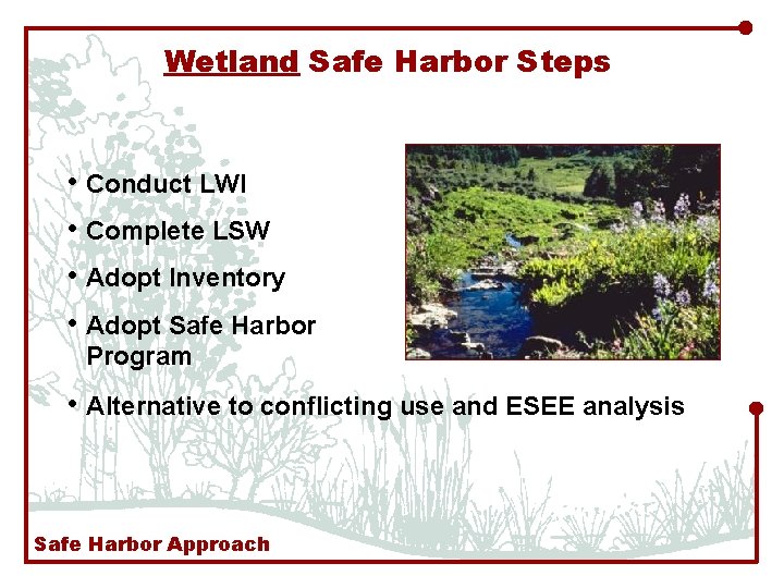 Wetland Safe Harbor Steps • Conduct LWI • Complete LSW • Adopt Inventory •