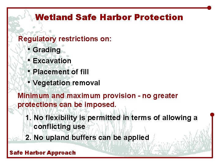 Wetland Safe Harbor Protection Regulatory restrictions on: • Grading • Excavation • Placement of