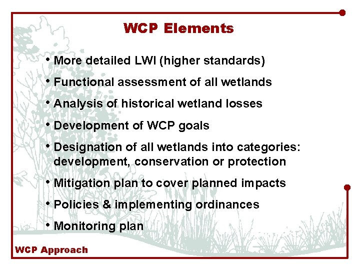 WCP Elements • More detailed LWI (higher standards) • Functional assessment of all wetlands