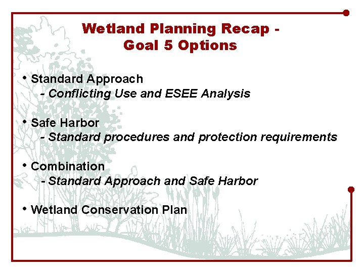Wetland Planning Recap Goal 5 Options • Standard Approach - Conflicting Use and ESEE