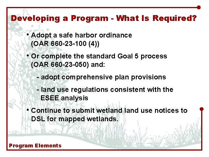 Developing a Program - What Is Required? • Adopt a safe harbor ordinance (OAR