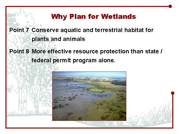 Why Plan for Wetlands Point 7 Conserve aquatic and terrestrial habitat for plants and