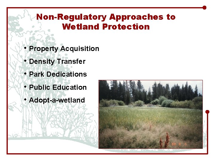 Non-Regulatory Approaches to Wetland Protection • Property Acquisition • Density Transfer • Park Dedications