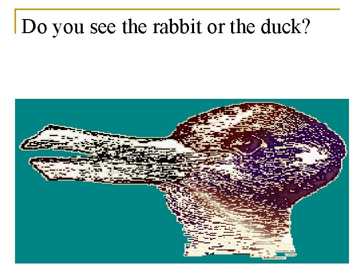 Do you see the rabbit or the duck? 