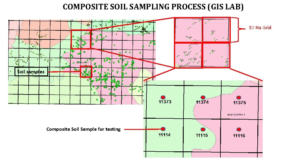 COMPOSITE SOIL SAMPLING PROCESS (GIS LAB) 10 Ha Grid Soil samples Composite Soil Sample