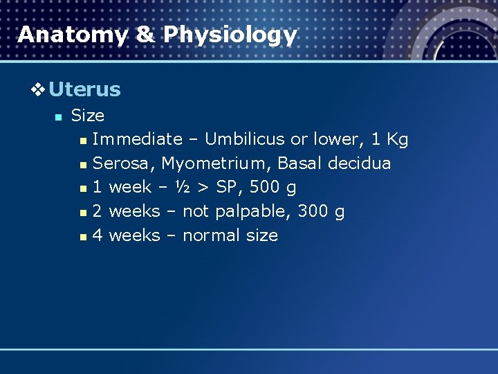 Anatomy & Physiology v Uterus n Size n Immediate – Umbilicus or lower, 1