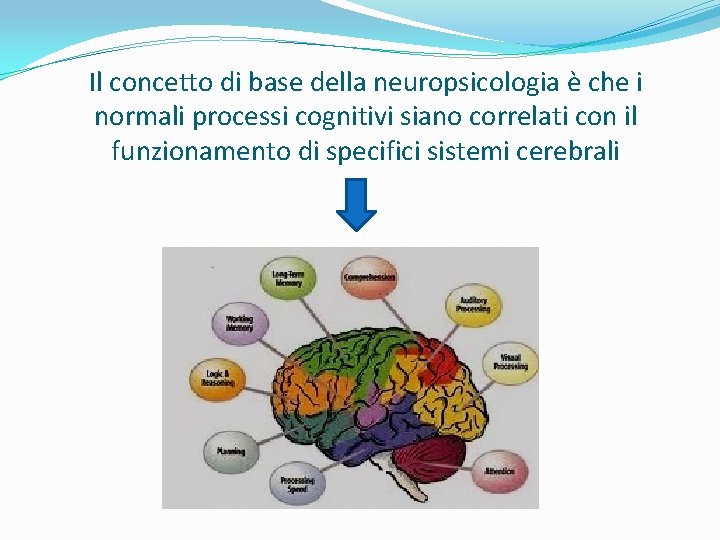 Il concetto di base della neuropsicologia è che i normali processi cognitivi siano correlati