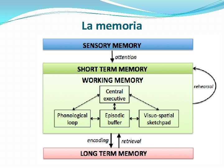 La memoria 