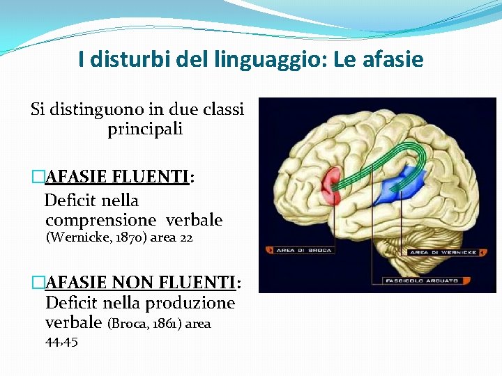 I disturbi del linguaggio: Le afasie Si distinguono in due classi principali �AFASIE FLUENTI: