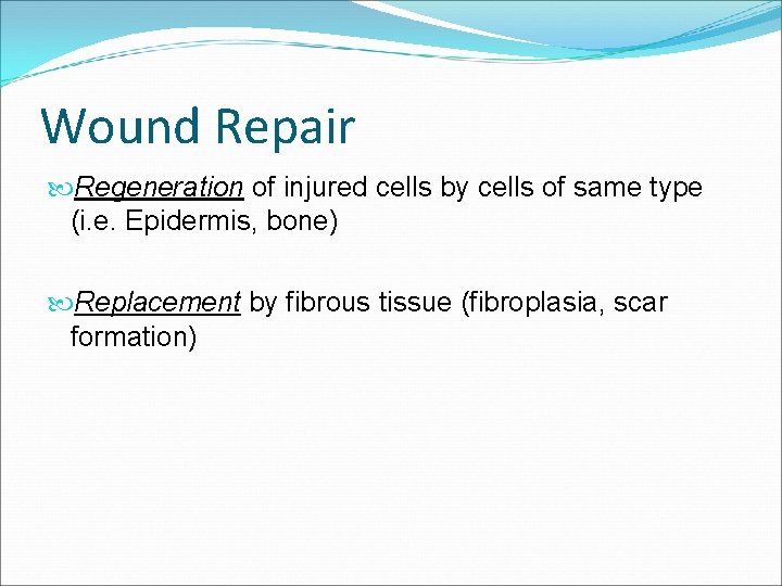 Wound Repair Regeneration of injured cells by cells of same type (i. e. Epidermis,