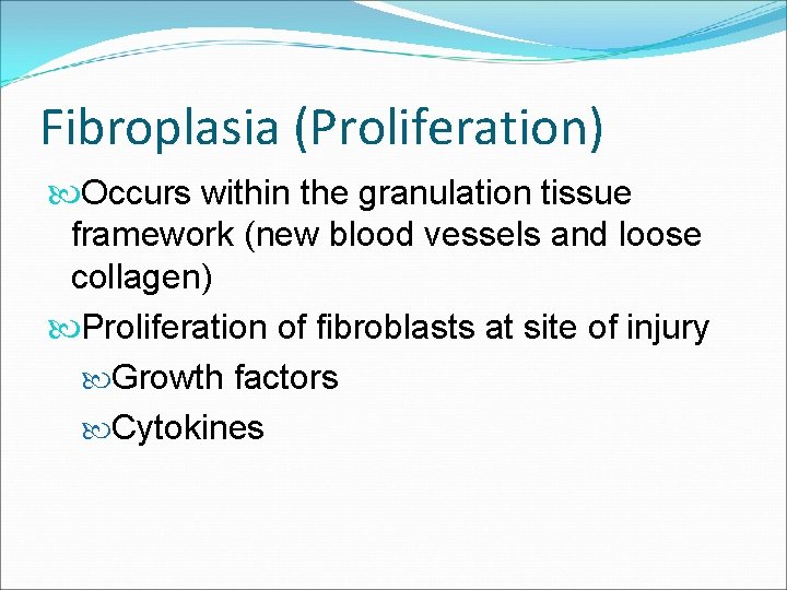 Fibroplasia (Proliferation) Occurs within the granulation tissue framework (new blood vessels and loose collagen)
