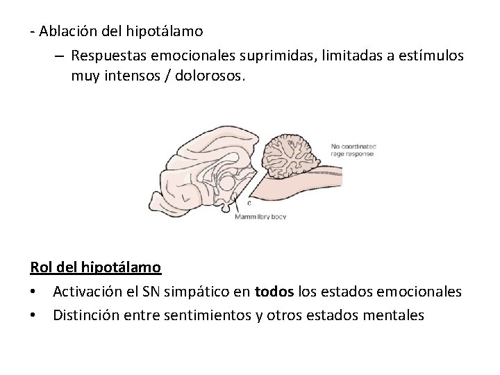 - Ablación del hipotálamo – Respuestas emocionales suprimidas, limitadas a estímulos muy intensos /