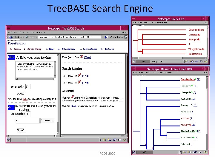 Tree. BASE Search Engine PODS 2002 7 