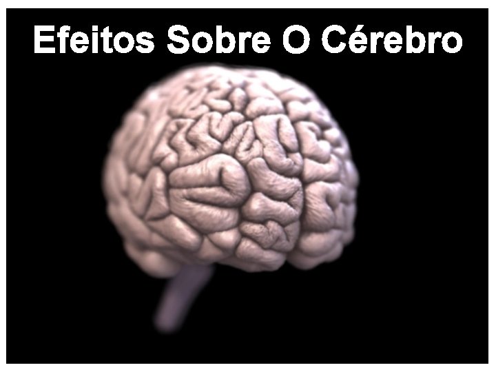 Efeitos Sobre O Cérebro 