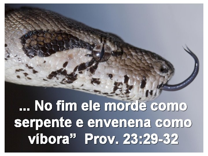 . . . No fim ele morde como serpente e envenena como víbora” Prov.