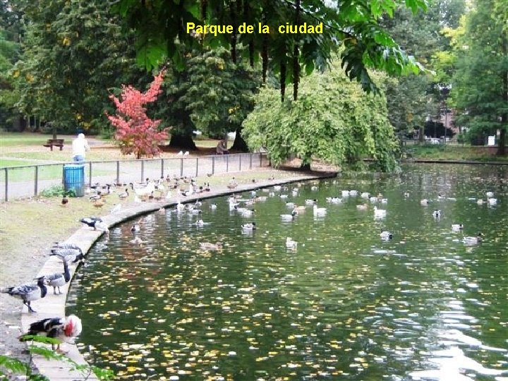 Parque de la ciudad 