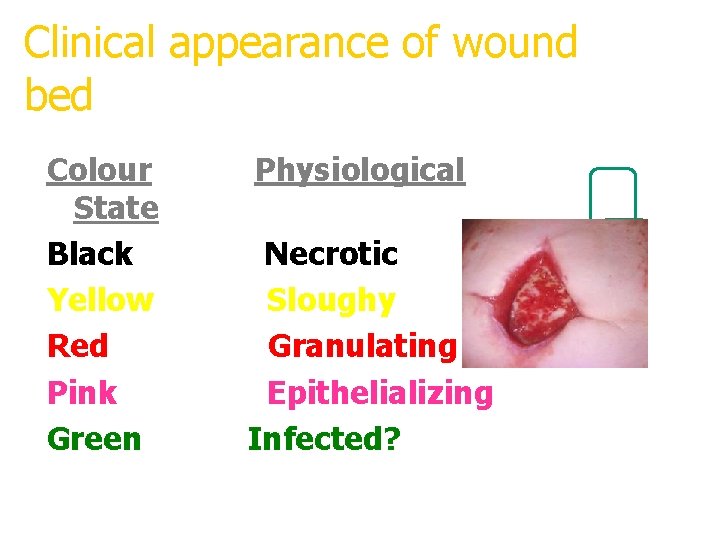 Clinical appearance of wound bed Colour State Black Yellow Red Pink Green Physiological Necrotic Clinical appearance of wound bed Colour State Black Yellow Red Pink Green Physiological Necrotic