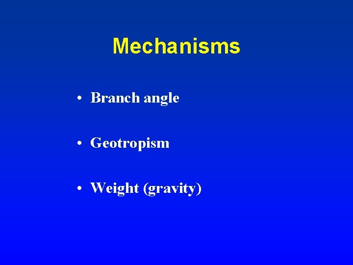 Mechanisms • Branch angle • Geotropism • Weight (gravity) 