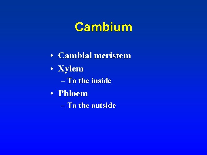 Cambium • Cambial meristem • Xylem – To the inside • Phloem – To