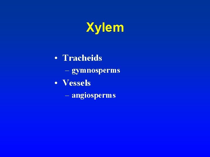 Xylem • Tracheids – gymnosperms • Vessels – angiosperms 