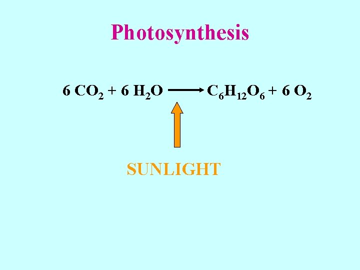 Photosynthesis 6 CO 2 + 6 H 2 O C 6 H 12 O