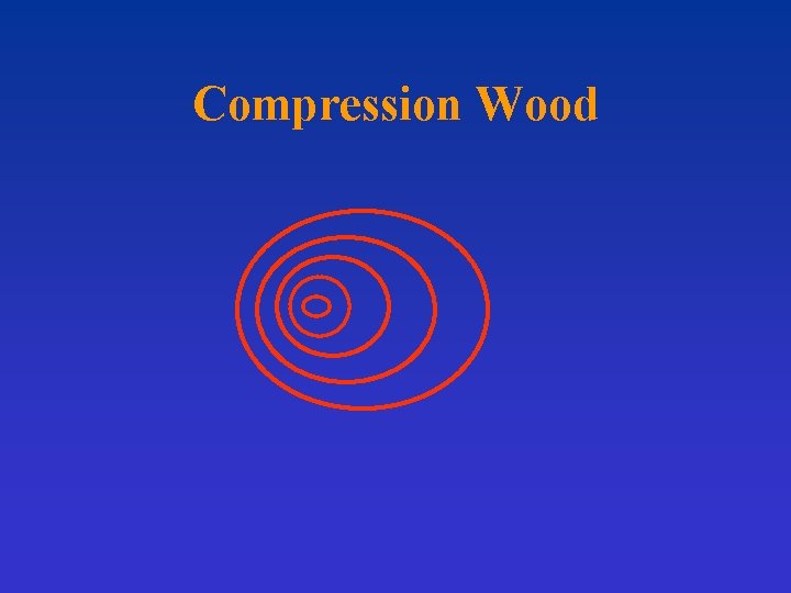 Compression Wood 