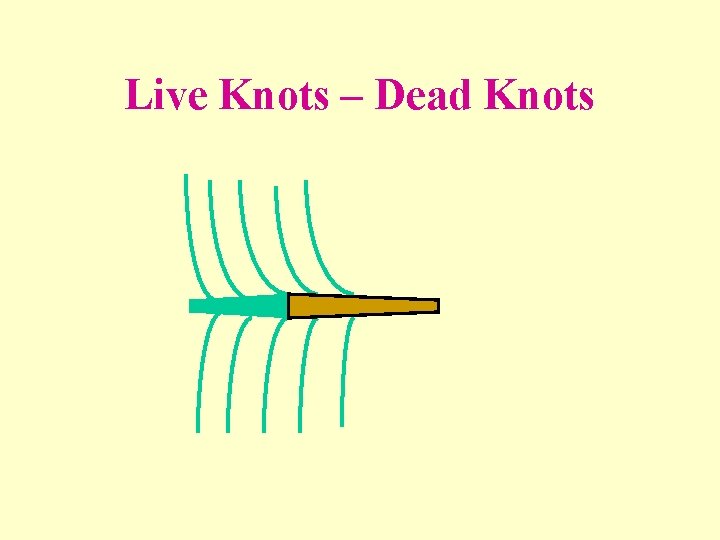 Live Knots – Dead Knots 