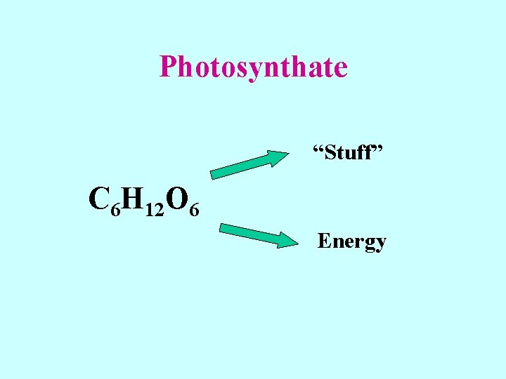 Photosynthate “Stuff” C 6 H 12 O 6 Energy 