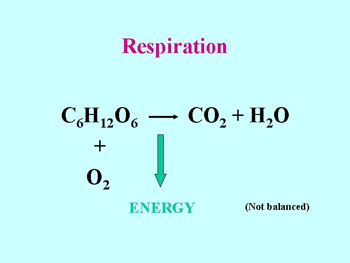 Respiration C 6 H 12 O 6 + O 2 CO 2 + H