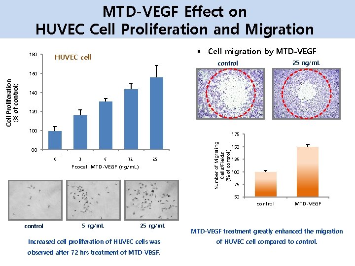 MTD-VEGF Effect on HUVEC Cell Proliferation and Migration 180 § Cell migration by MTD-VEGF