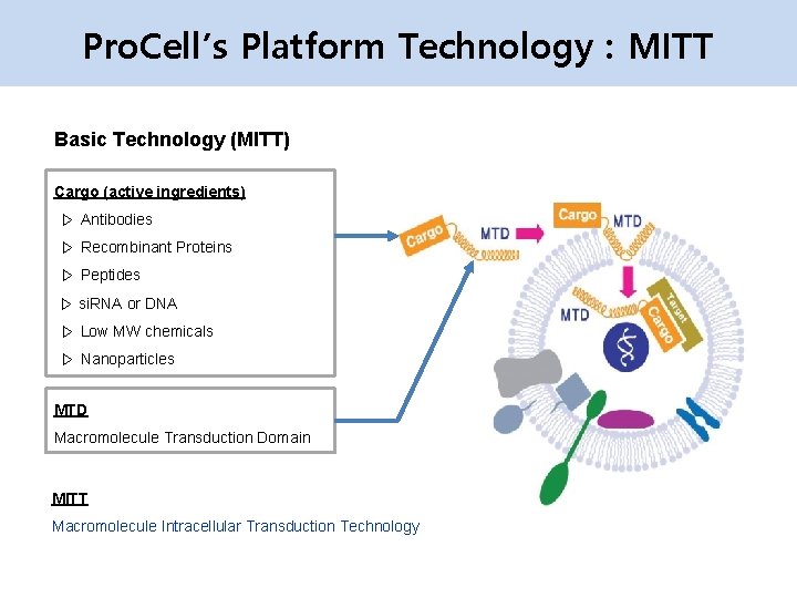 Pro. Cell’s Platform Technology : MITT Basic Technology (MITT) Cargo (active ingredients) ▷ Antibodies