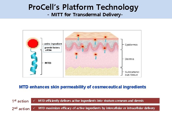 Pro. Cell’s Platform Technology - MITT for Transdermal Delivery- MTD enhances skin permeability of