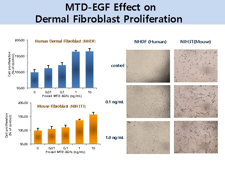 MTD-EGF Effect on Dermal Fibroblast Proliferation Cell proliferation (% of control) 200. 00 NHDF