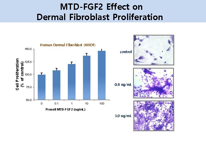 MTD-FGF 2 Effect on Dermal Fibroblast Proliferation Human Dermal Fibroblast (NHDF) Cell Proliferation (%