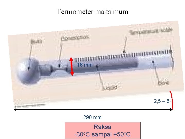 Termometer maksimum 18 mm 2, 5 – 5 o 290 mm Raksa -30 o.