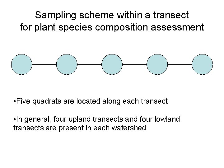Sampling scheme within a transect for plant species composition assessment • Five quadrats are Sampling scheme within a transect for plant species composition assessment • Five quadrats are