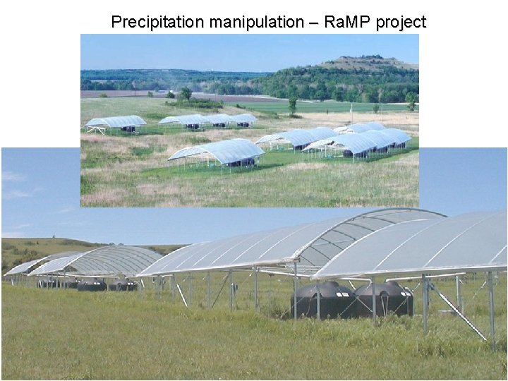 Precipitation manipulation – Ra. MP project 