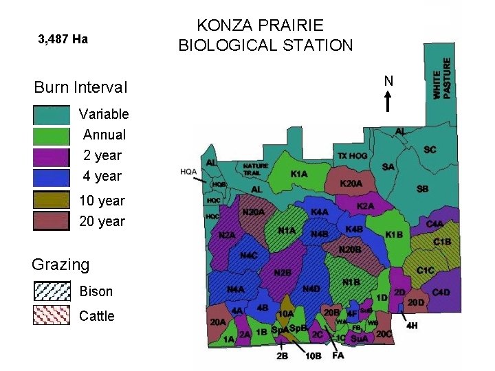 3, 487 Ha Burn Interval Variable Annual 2 year 4 year 10 year 20