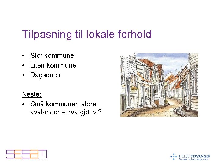 Tilpasning til lokale forhold • Stor kommune • Liten kommune • Dagsenter Neste: •