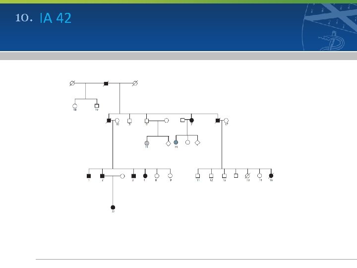 10. IA 42 