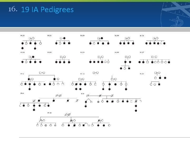 16. 19 IA Pedigrees 