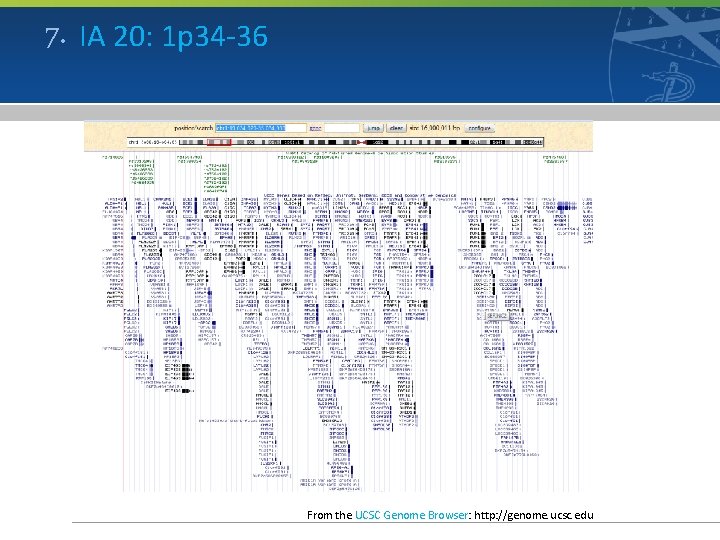 7. IA 20: 1 p 34 -36 From the UCSC Genome Browser: http: //genome.