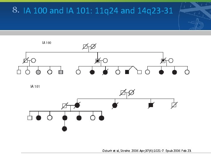 8. IA 100 and IA 101: 11 q 24 and 14 q 23 -31