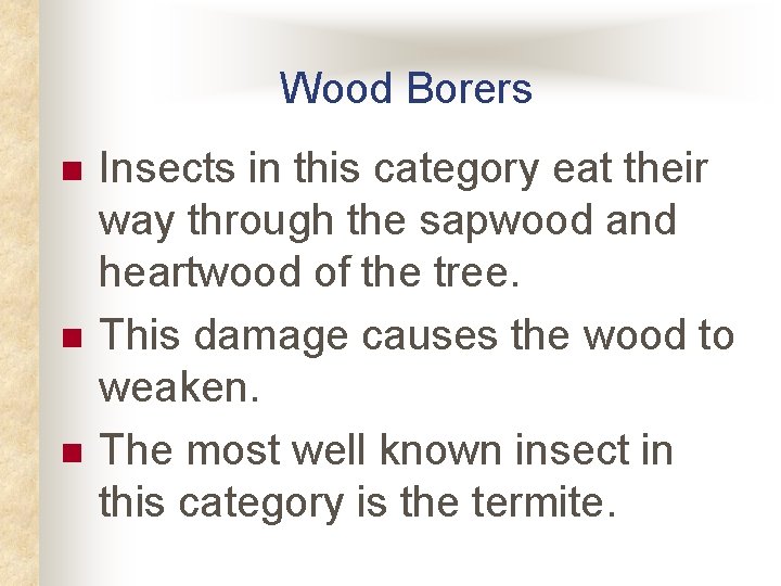 Wood Borers n n n Insects in this category eat their way through the Wood Borers n n n Insects in this category eat their way through the